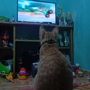 [BPOM] THE FACE  Exfoliating Gel 50ml / AHA BHA PHA - Mencerahkan dan Mengangkat sel kulit mati