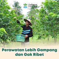 Gambar INFARM - Pupuk AB Mix Hidroponik Besar Pohon 1000 Liter Serbuk Berkualitas Nutrisi Instan Vitamin Tumbuhan Subur Praktis Murah dari Infarm Kota Surabaya 5 Tokopedia