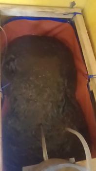 Product Review of TERPAL KOLAM A20 UK. 100×50×50 KOREA QUALITY + PEMBUANGAN from a**p 0