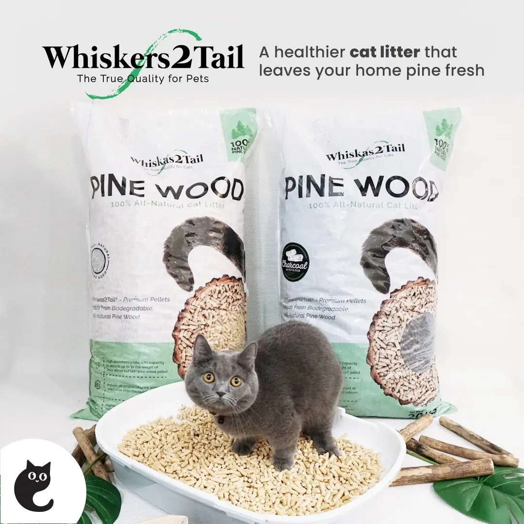 Whiskers2Tail Cat Litter 100% Natural Pine Wood 10kg