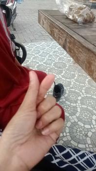 Product Review of Sprei batangan tanpa Sarban sargul free karet disetiap sudutnya from s**n 0
