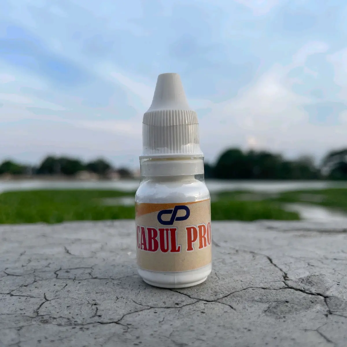 NUTRISI CABUT BULU - CABUL BURUNG