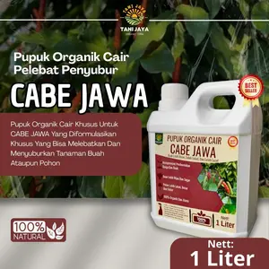 Pupuk Cabe Jawa Penyubur Pelebat Buah Booster Cabe Jawa Cabe Jamu Cepat Berbuah Lebat Cepat Besar