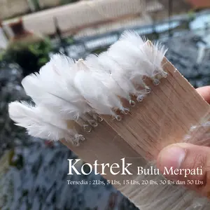 Kotrek Merpati Supermonster