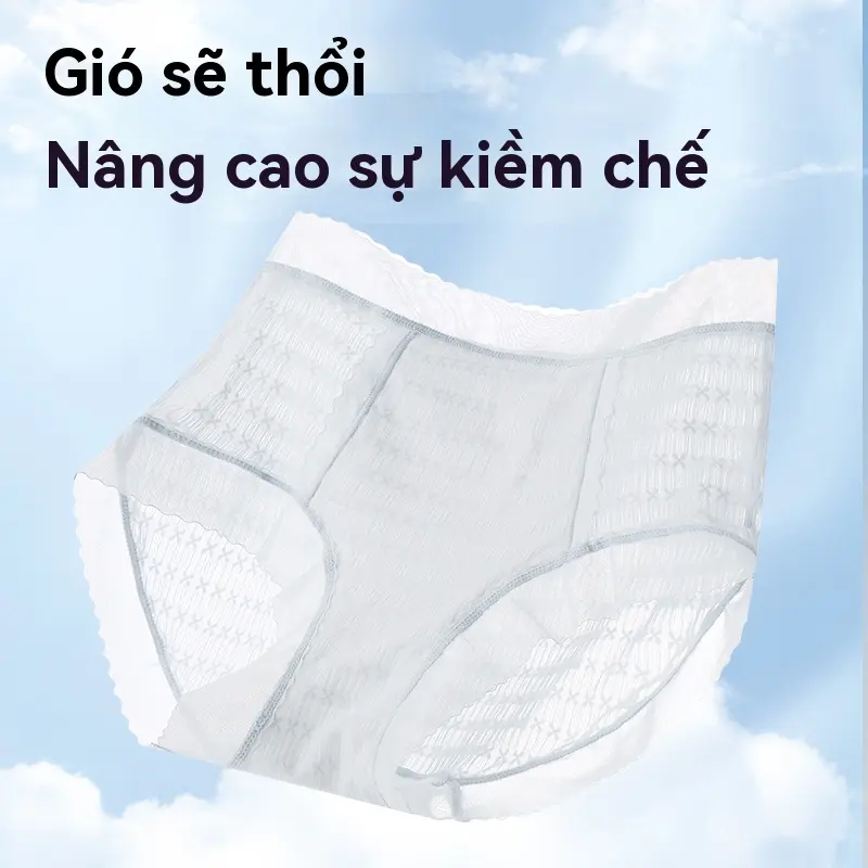 Quần Lót Vải Tuyn Sang Trọng, Nhẹ, Bó Eo, Thêu Thủ Công, Thoáng Khí, Thoải Mái, Làm Bằng Lụa 4