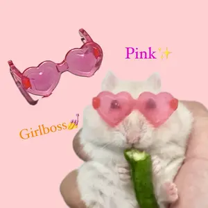 Kacamata hewan peliharaan