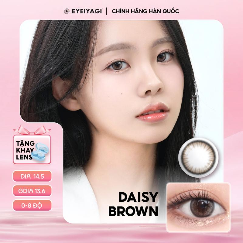 NEW DAISY BROWN - kính áp tròng cận thời trang tone nâu pha xám nhẹ nhàng Hàn Quốc 3 tháng |Độ cận 0-8 DIA 14.5mm|