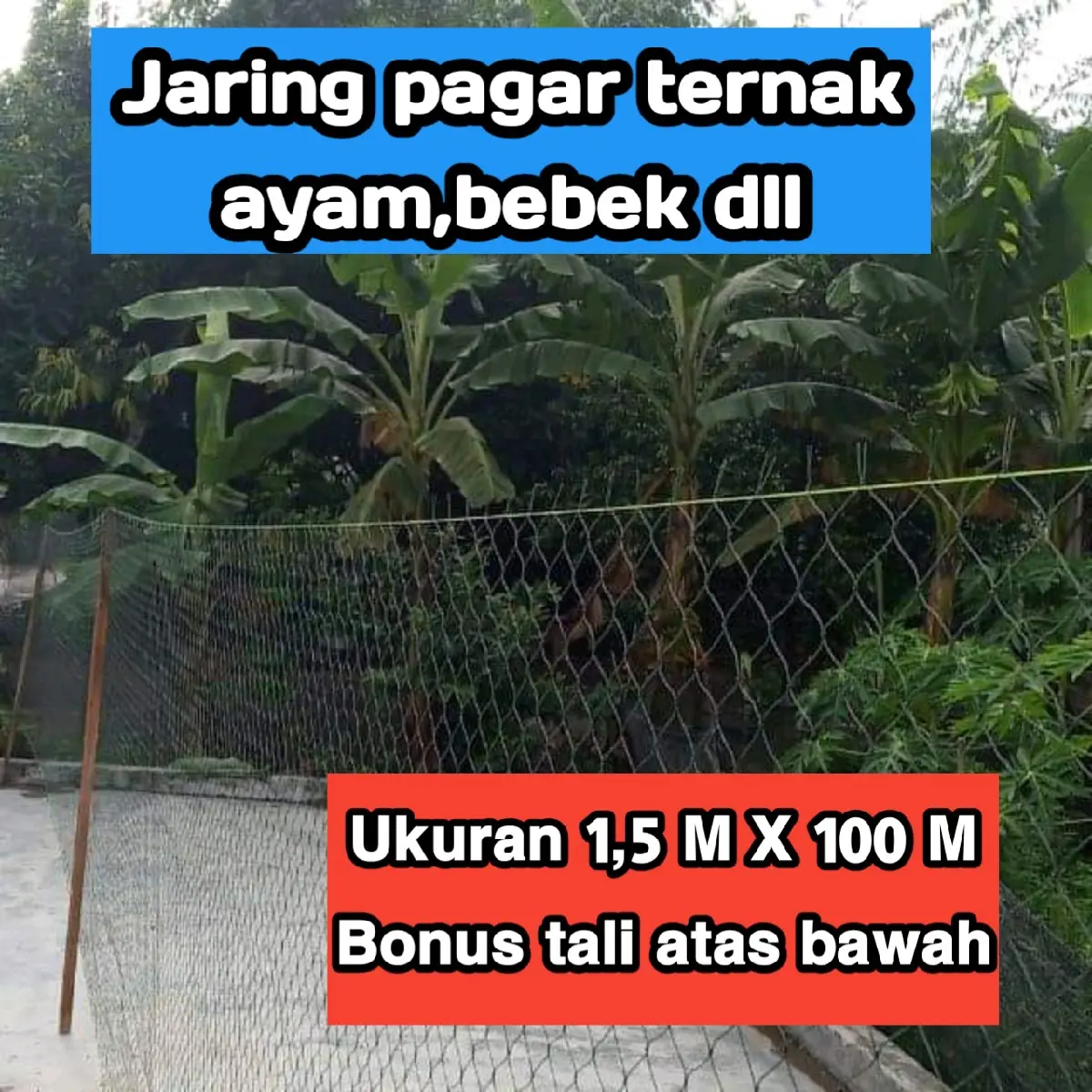 Jaring Pagar Ayam ukuran 1,5 M X 100 M