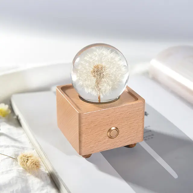 Preserved Flower Bluetooth Speaker - The Beginning Indonesia - Kado Pacar Sahabat Pasangan Cewek Cewe - Untuk Ulang Tahun Anniversary Lamp Led