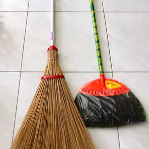 Sapu merak bulan + sapu taman, langsung dapat 2pcs, dan Sapu Merak besar