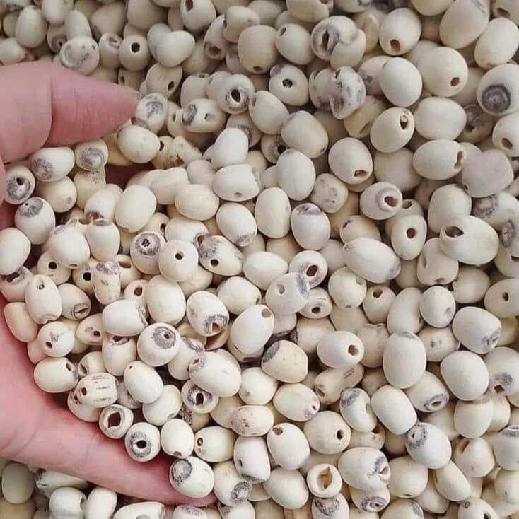 Combo 1kg hạt sen khô loại đặc biệt