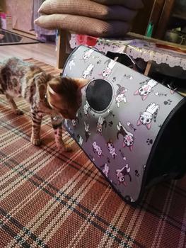 Product Review of ️(READY STOCK️)LARGE 52cm Pet Dog Cat Carrier Bag Travel Essentials Fashion Bag Foldable Portable Beg Kucing Besar from H**e 0