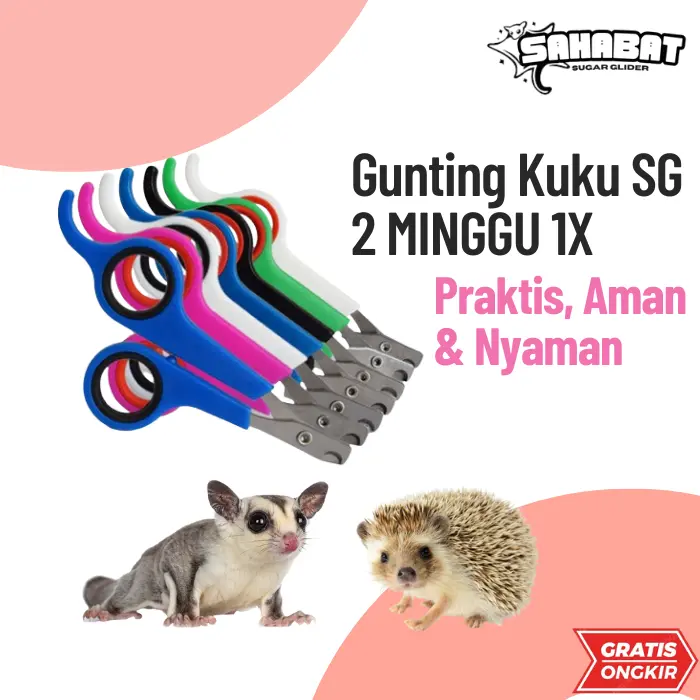 Gunting kuku hewan nail clippers trimmer kucing reptil sugar glider