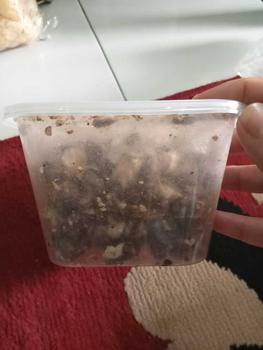 Product Review of RIJEK PATAHAN ASTOR 500GRAM  / 250GR CHOCOLATE SNACK COKELAT FOOD from d**5 1