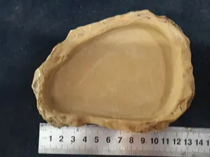 Feeding Dish Small ys gs wadah pakan minum reptile