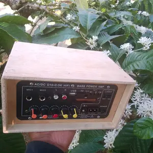 Amplifier bluetooth usb karaoke
