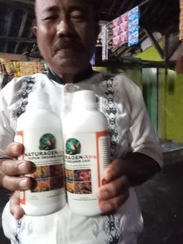 Product Review of [beli 3 gratis 1] NATURAGEN-XTRA PUPUK ORGANIK CAIR meningkatkan hasil panen kebun, padi, jagung, cabe, sawit Dan Jenis Tanaman Lainya Alami from a*** a**8 0