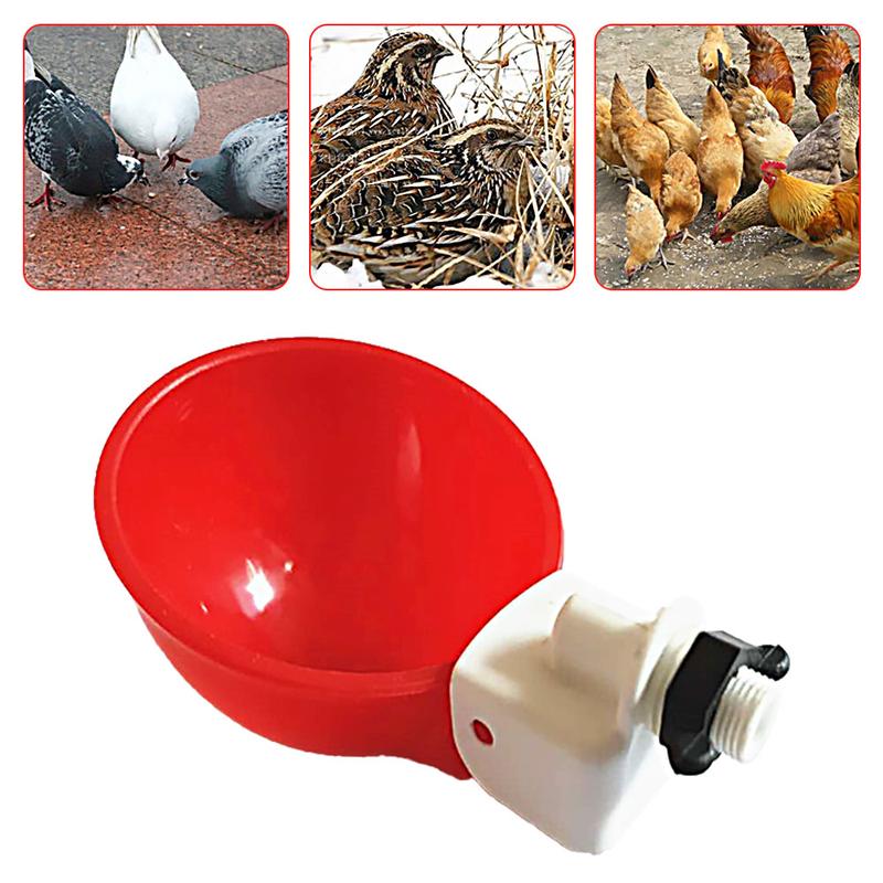 Product Introduction of Automatic Water Cups Poultry Drinker Waterer Chicken Duck Quail Drinking 11