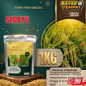 padi unggul Sedayu original kemasan 1kg