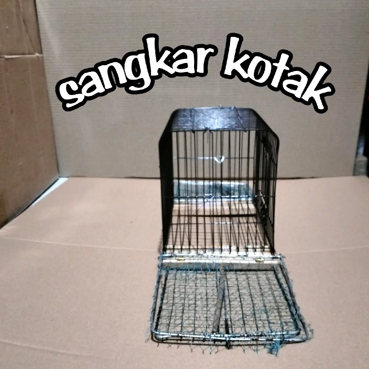 sangkar kotak