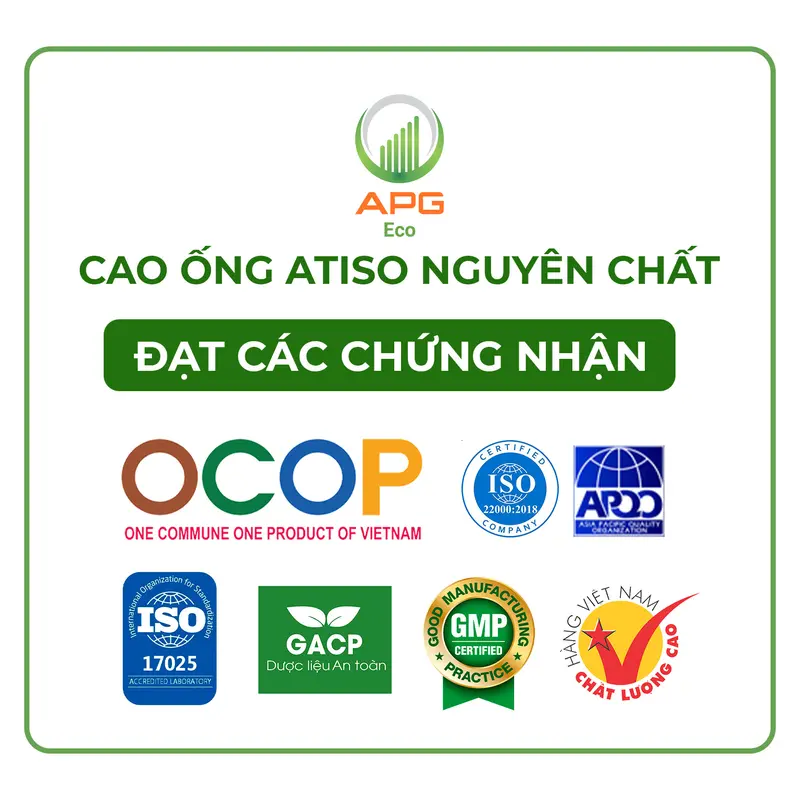 Combo 10 Hộp Cao ống Atiso Nguyên Chất (Quy cách 10ml x 10 ống/Hộp) 4