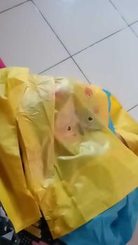 Product Review of Kids Raincoat 4-13Thn Jas Hujan Anak Ponco Karakter Mantel Poncho 0767 from Y**i P**5 0