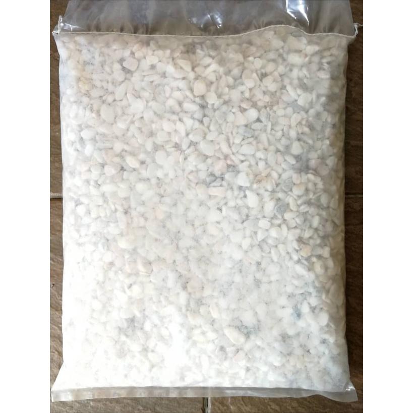 Aquarium White Stone Pebble 10kg Fish Pond Batu Putih Akuarium Ikan Kolam