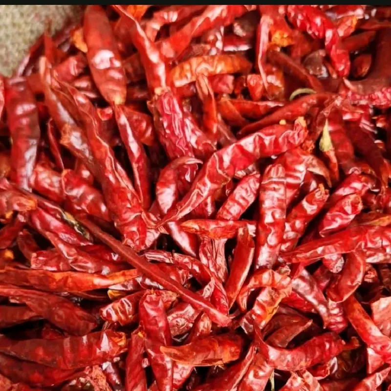 MURAH 1KG CABE RAWIT TEJA SETAN KERING KUAKITAS SUPER PEDAS 4