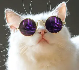Kacamata Hewan Peliharaan Kacamata Model Kucing Anjing
