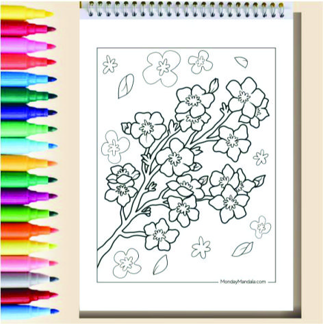Flowers Coloring Book Cozy Book Adult Buku Mewarnai Remaja Dewasa Spiral Kertas Tebal Tema Bunga 5