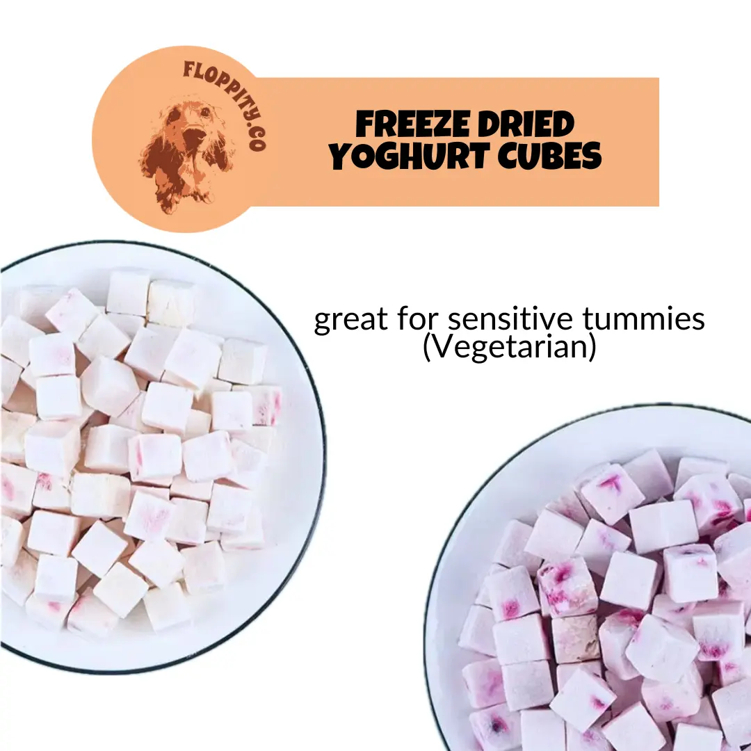 Floppityco Dog and Cat Training Treats - Premium Freeze Dried Yoghurt Cubes
