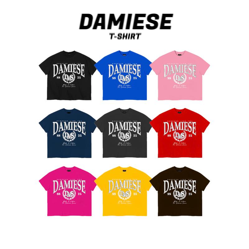 ÁO THUN BOXY LOCAL BRAND DAMIESE "SS25" COTTON 260GSM