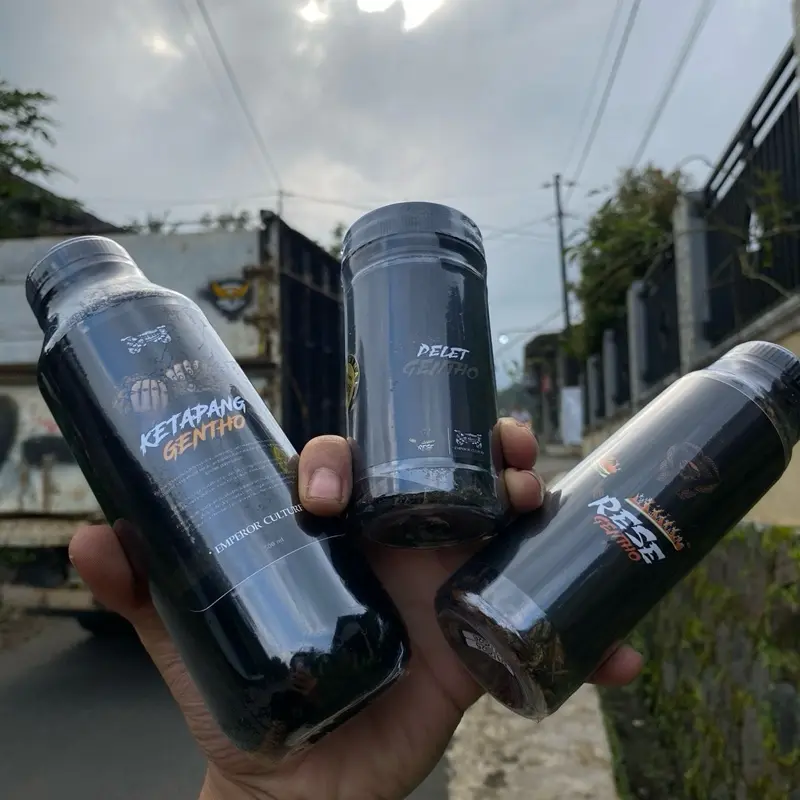Paket PELETxRESExKETAPANG 0