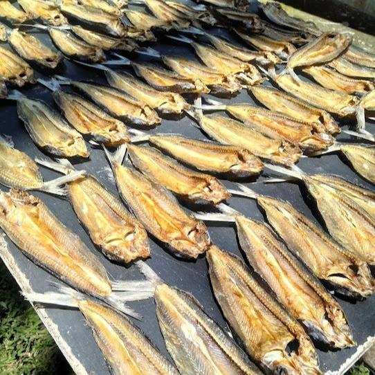 Dashi Powder 50g – Bonito & Flying Fish | Tanpa MSG | Ikushima Store 5