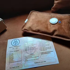 Bantal Penghangat Viral Elektrik / Bantal Air Panas / Bantal Warmer Pad Heater