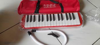 Product Review of Pianika Anak Murah Terbaru dan Terlaris - Warna Pink Biru dan Merah - Toys Alat from Z**8 0