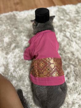 Product Review of Baju Melayu Satin - Baju Raya Kucing Cibond from F**a 2