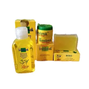 4in1 Cream Susun Temulawak [ Paket ]
