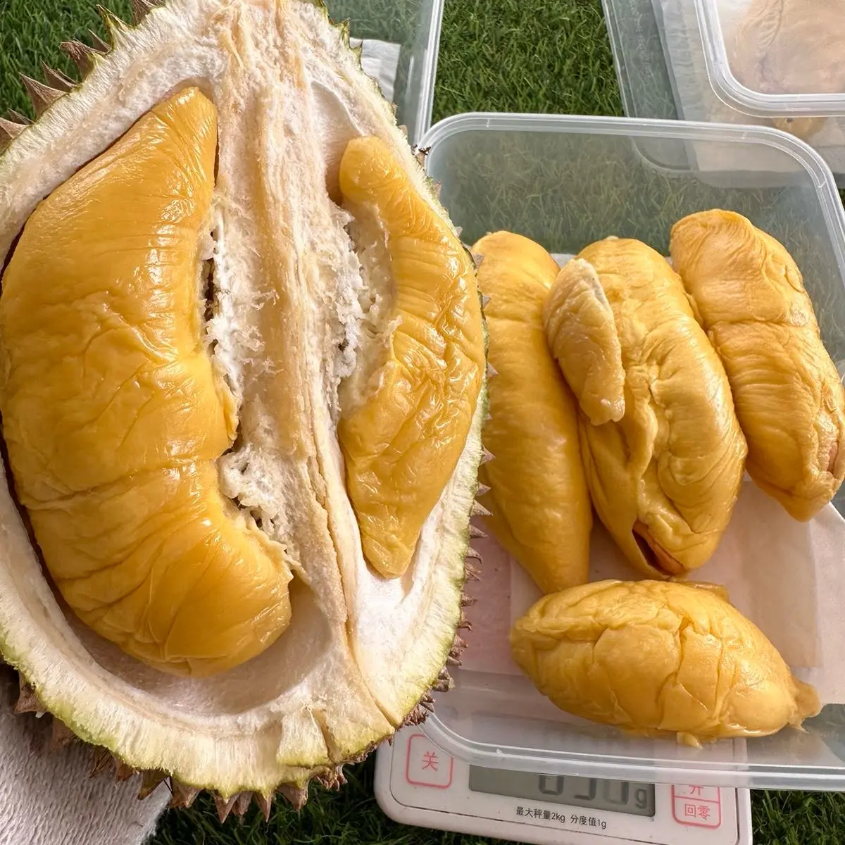 Dukrian! Nitro Frozen Maoshanwang MSW Durian (300gram+) Vacuum Seal 3D Box fresh durian Fruit Natural