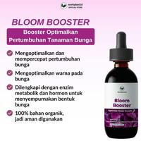 Gambar Workplant - Paket Perawatan Anggrek Untuk Semua Jenis Tanaman Anggrek - Paket Anggrek 1 dari workplant official Kota Surabaya 3 Tokopedia