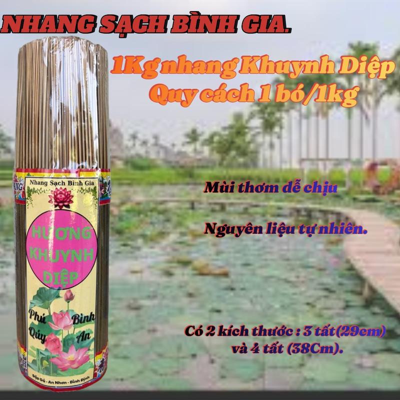NHANG SẠCH BÌNH GIA 1kg Nhang thơm thanh mát Nhang khuynh diệp Quy cách 1 bó 1kg Mùi thơm dịu nhẹ tự nhiên từ bột lá cây khuynh diệp 2 kích thước 3 tất 29cm và 4 tất 38cm