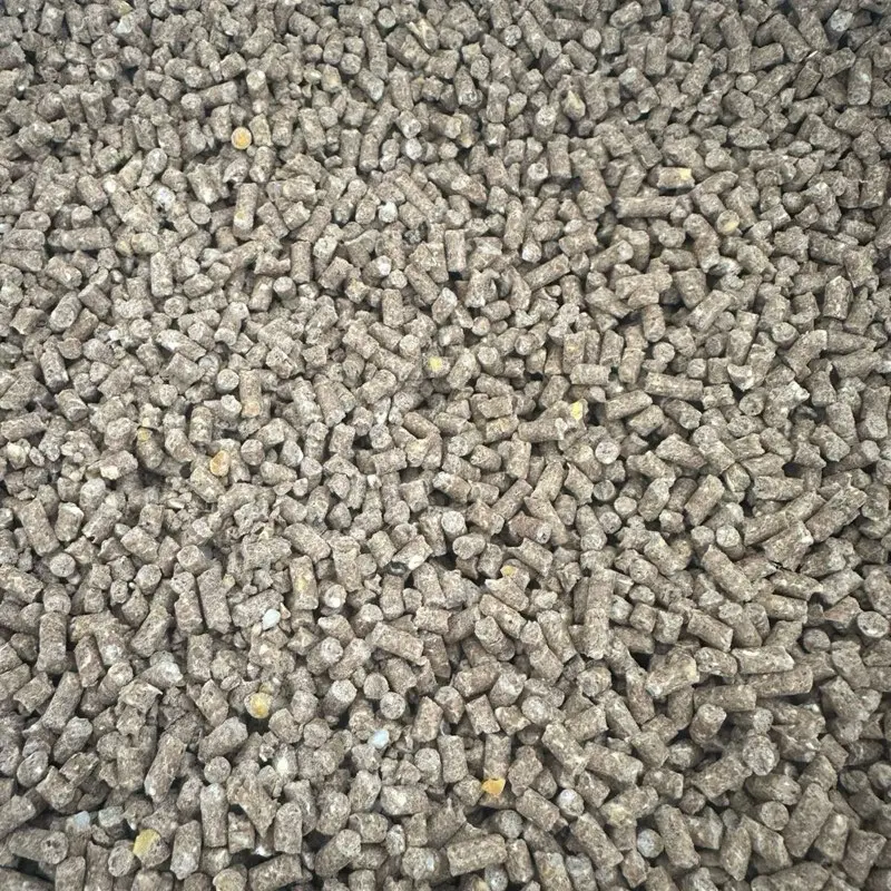 1kg cám con cò C24 cho gà mái đẻ