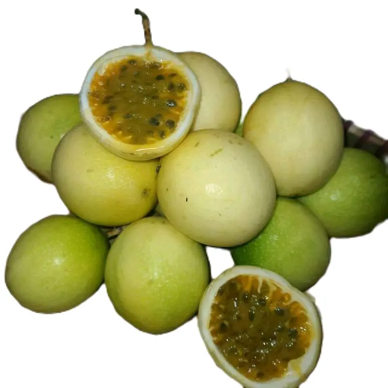 buah markisa merah mix kuning kualitas super berat 1 kg 1
