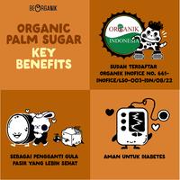 Gambar Palm Sugar Powder Beorganik / Gula Aren Bubuk Organik 350gr dari Beorganik Store Kota Administrasi Jakarta Barat 4 Tokopedia