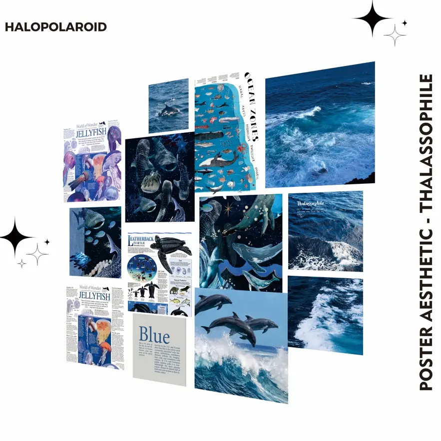 [HALOPOLAROID] Poster Aesthetic THALASSOPHILE 13 Pcs Hiasan Estetik Dinding | Wall Decor Aesthetic - Halo 32