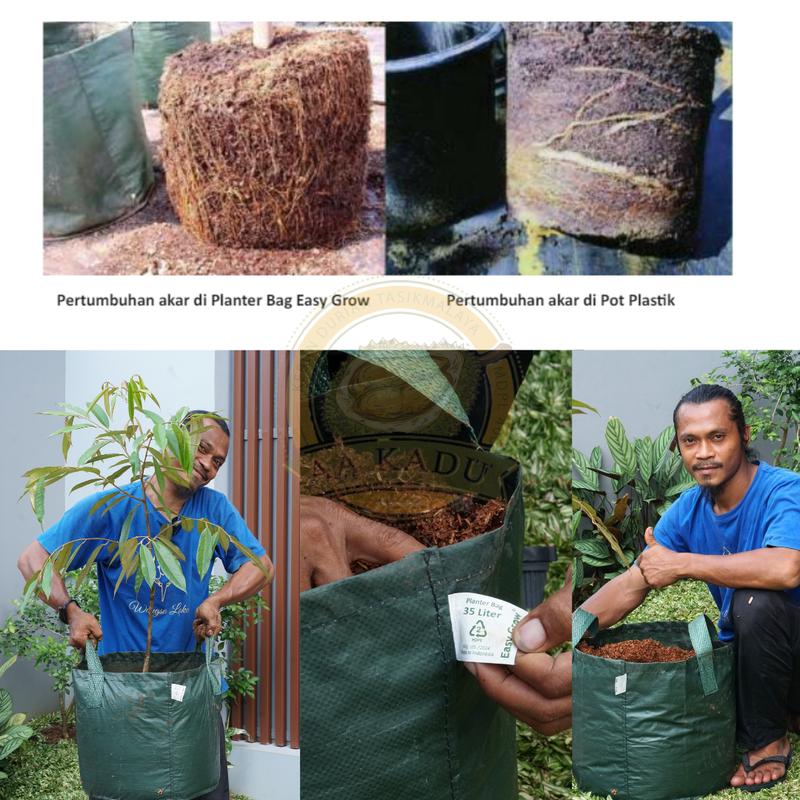 Product Introduction of Planter Bag Kualitas Premium 35 Liter (35x35) Daya Tahan 10 Tahun - Anti robek dan tahan dari segala cuaca panas , dingin dan hujan 0