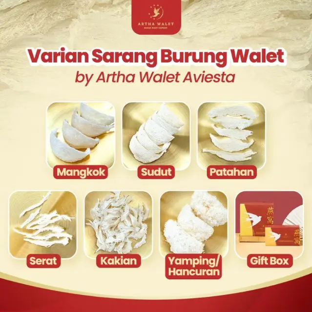 Sarang Burung Walet Sudut / Segitiga 1gr - Yanwo / Bird Nest 5