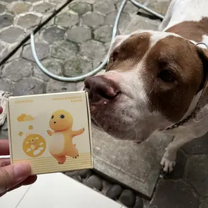 GOOJODOQ X NAILONG J234 Charming Nailong Earplugs 24dB Noise Cancelling Earplugs, Extra Soft Silicone, 4 Sizes, Secure Fit for Sleeping and Travel