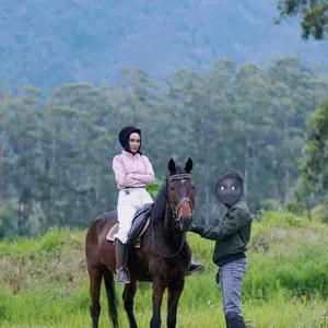 Jaket Olahraga Lengan Panjang Fit Body Wanita - Cewek Yoga Pilates Lari Gym Fitnes Premium Quality DKN