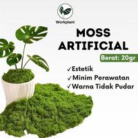 Gambar Workplant - Moss Artificial Lumut Imitasi Dried Moss untuk Terrarium Aquascape DIY Dekorasi Indoor Outdoor - Hijau Muda dari workplant official Kota Surabaya 1 Tokopedia